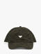 beetle