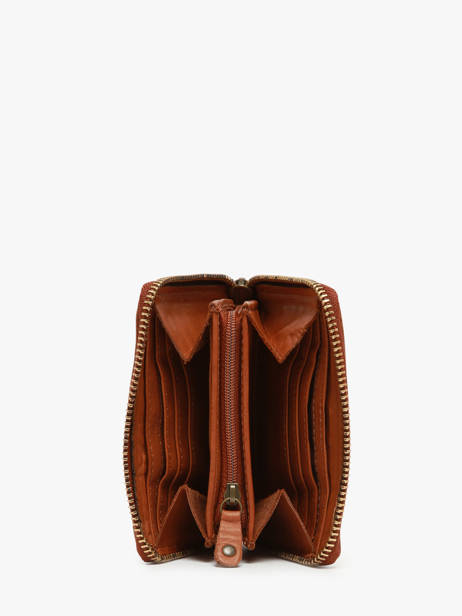 Leather Texas Coin Purse Biba Brown heritage BT11 other view 1