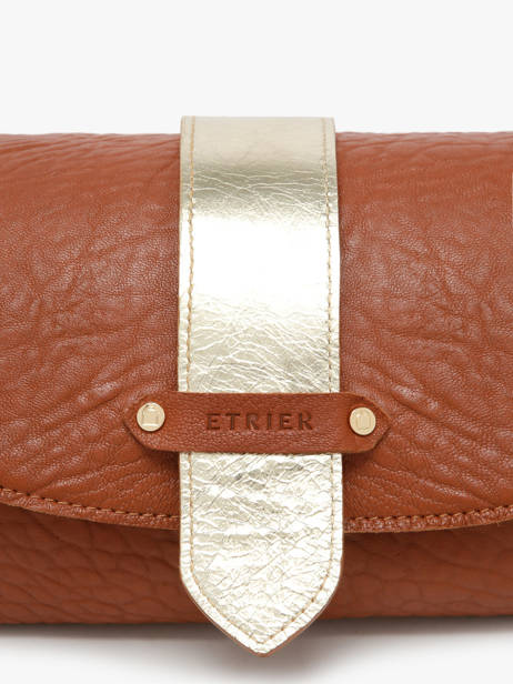 Sac Bandoulière M Agnes Cuir Etrier Marron agnes EAGC205M vue secondaire 4