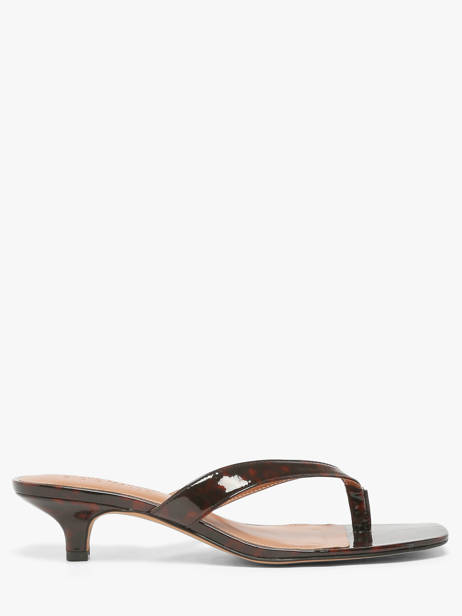 Heeled Flip Flops Steve madden Black women 11004731