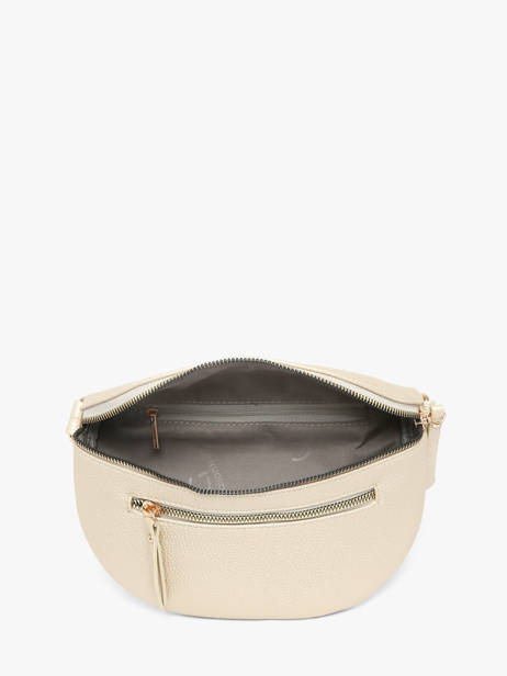 Belt Bag Miniprix Gold sangle 1 other view 2