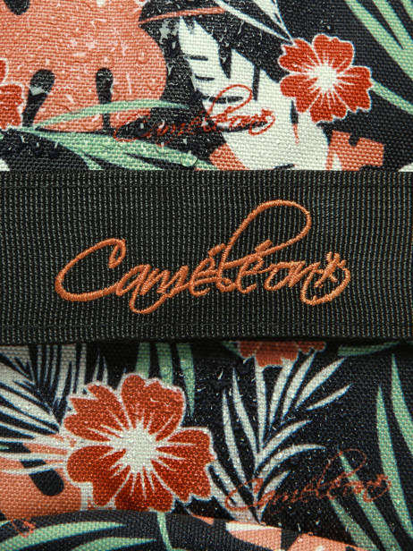 2-compartment Satchel Cameleon Multicolor futur CA38 other view 8
