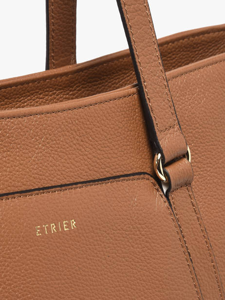 2-compartment Messenger Bag With 13