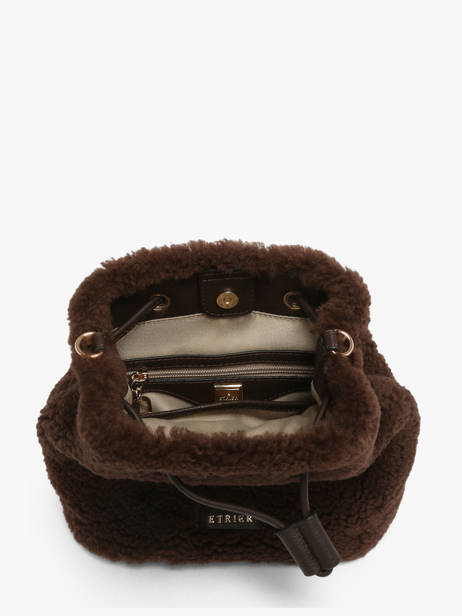 Crossbody Bag Amboise Leather Etrier Brown amboise EAMB218S other view 5