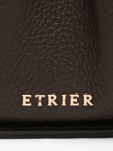 Crossbody Bag Foudre Leather Etrier Brown foudre EFOD238S other view 4