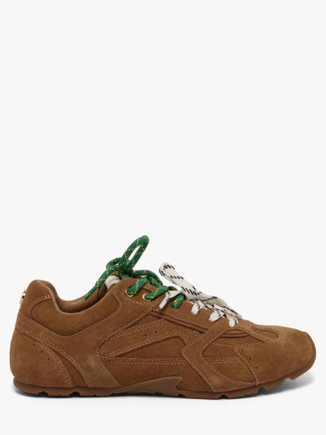Sneakers Asiel In Leather Steve madden Brown women 11005159
