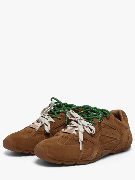 Sneakers Asiel In Leather Steve madden Brown women 11005159 other view 1