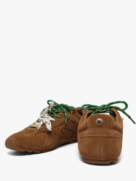 Sneakers Asiel In Leather Steve madden Brown women 11005159 other view 2