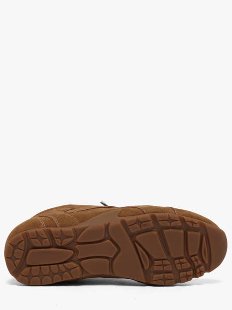 Sneakers Asiel In Leather Steve madden Brown women 11005159 other view 4